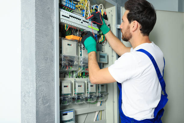 Best Electrical System Inspection  in Ilion, NY